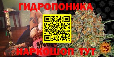 гашик Баксан