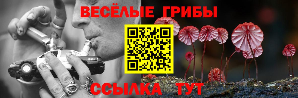 Галлюциногенные грибы мухоморы  где продают   Долгопрудный  Псилоцибиновые грибы ЛСД  Вход с VPN 